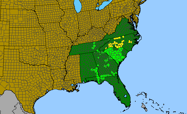 The range of Baptisia albescens